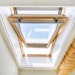 Ventilated Skylight Roof