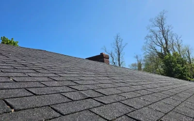 What is a Three Tab Shingles? A Comprehensive Guide to Roofing Basics 