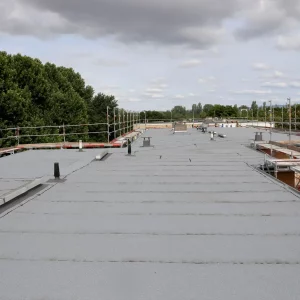 Flat Roof